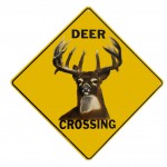 deer_crossing