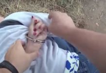 Taxpayers to Pay $3 Million for AGW’s Hut! Hut! Hut!