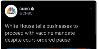 The Regime Comes Clean