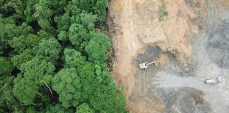 “Environmentalism” vs. Conservationism