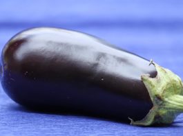 The Eggplant Behind the Wheel