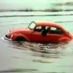 Beetle floating