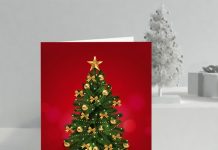 Merry Christmas 2025!