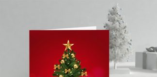 Merry Christmas 2025!