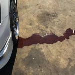 oil leal 7