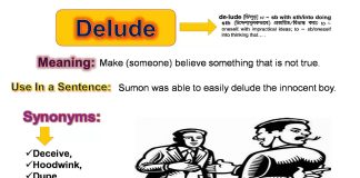 The Deluded