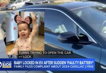 Teslas Kill – Almost – Again