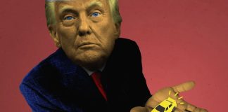 Where Are The “Tiny Cars” Trump Promised?