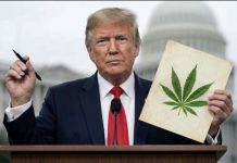Something Good Trump Has Done