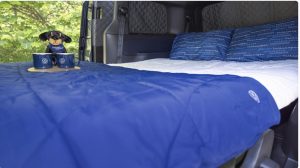 The Bed Says it All