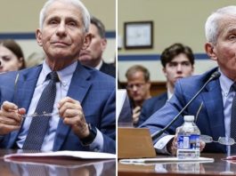 The Dog n’ Pony Fauci Show