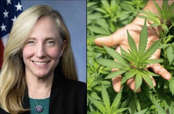Well, At Least We Can Get High (Legally) Now!