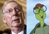 Where’s the Turtle?