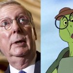 turtle 2
