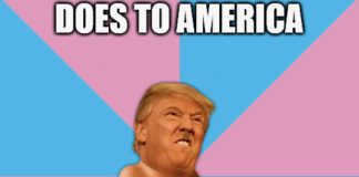 Daily Diaper
