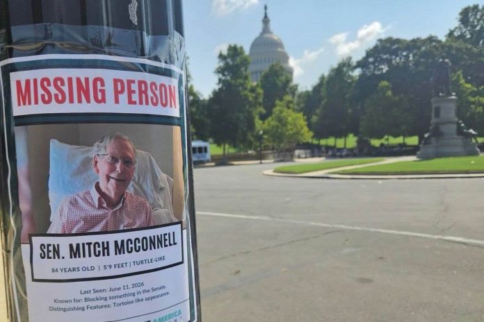 Missing Turtle