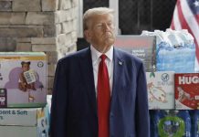 Daily Diaper