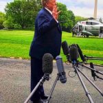 Old penguin Trump