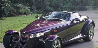 The Prowler